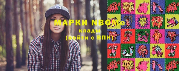 соль ск Козловка