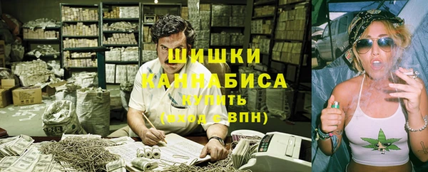 соль ск Козловка