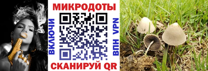 Галлюциногенные грибы Magic Shrooms  Купить закладки  Тайшет 